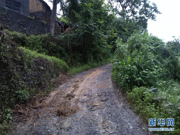 （集中连片特困地区贫困村调研行·图文互动）（3）百果园里幸福长——湖南凤凰县菖蒲塘村脱贫调查