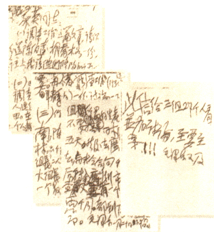 图片4