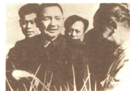 图片7