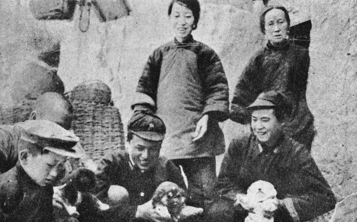 图片18